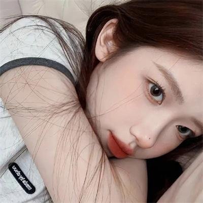 夏绿蒂的网